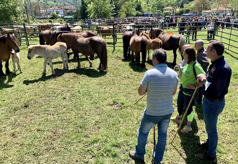 Cuándo son las fiestas de Bárcena de Pie de Concha