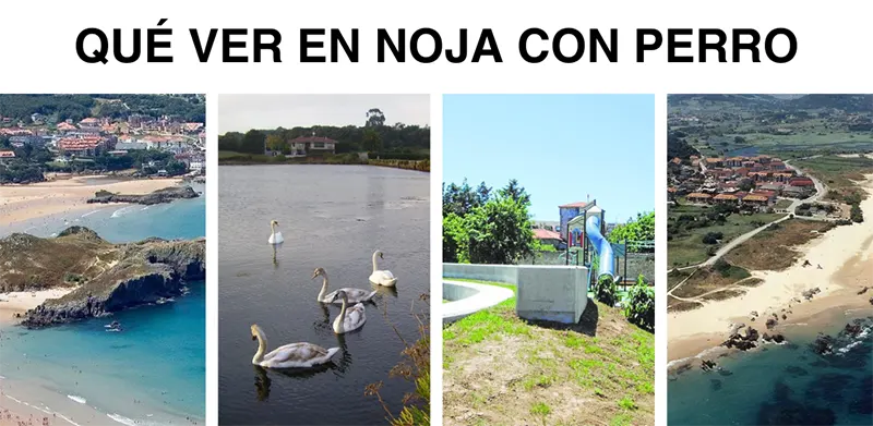 Qué ver en Noja con perro
